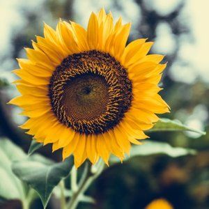 Meet your Posher, Ma